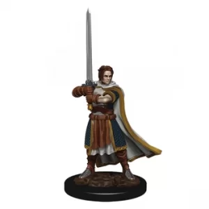 Image of D&amp;D Icons of the Realms Premium Figures (W4) Human Cleric Male