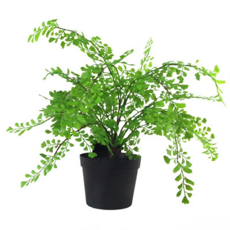 Image of Leaf 35cm Artificial Potted Fern Plant (Southern Maidenhair Fern) Green unisex
