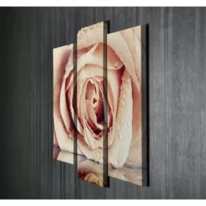 Image of UC005 Multicolor Decorative Canvas Painting (3 Pieces)