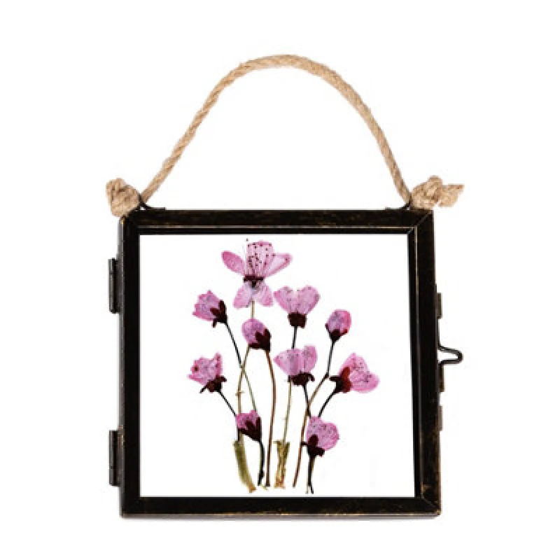 Image of Nicola Spring Hanging Metal Photo Frame - 4" x 4" - Black Black