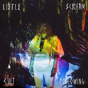 Image of Little Scream - Cult Following Vinyl