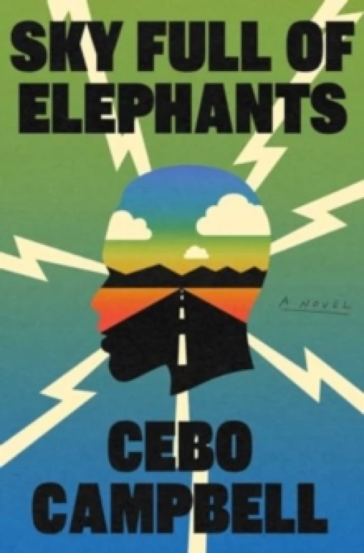 Image of Sky Full of Elephants : A Novel Hardback
