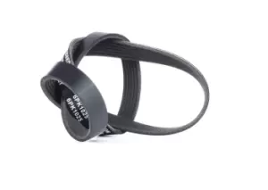 Image of RIDEX V-ribbed belt 305P0398 Serpentine belt,Auxiliary belt VW,AUDI,SKODA,Golf VII Schragheck (5G1, BQ1, BE1, BE2),TIGUAN (5N_)