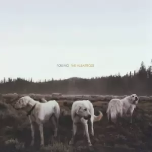 Image of The Albatross by Foxing Vinyl Album