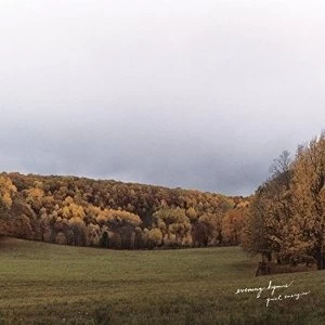 Image of Evening Hymns - Quiet Energies Vinyl