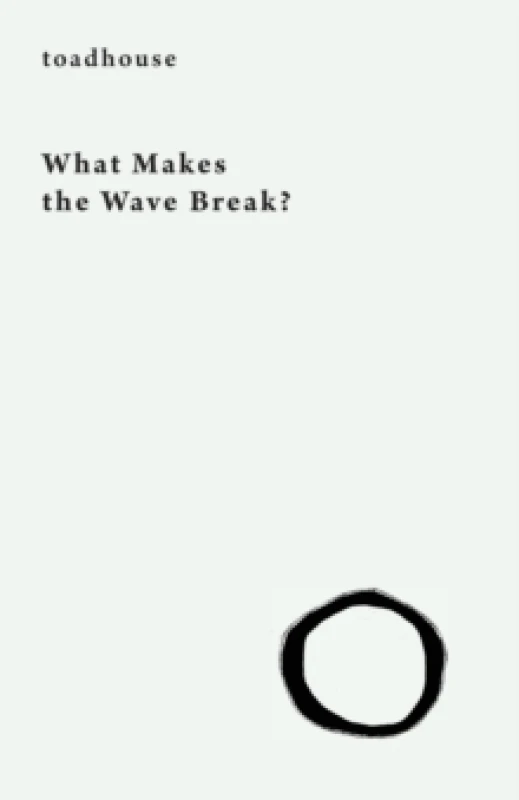 Image of What Makes the Wave Break? Paperback / softback