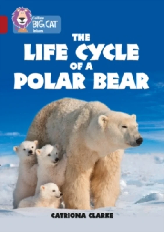 Image of The life cycle of a polar bear - Catriona Clarke - Paperback - Used