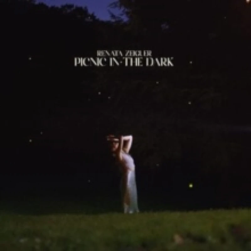Image of Picnic in the Dark Vinyl