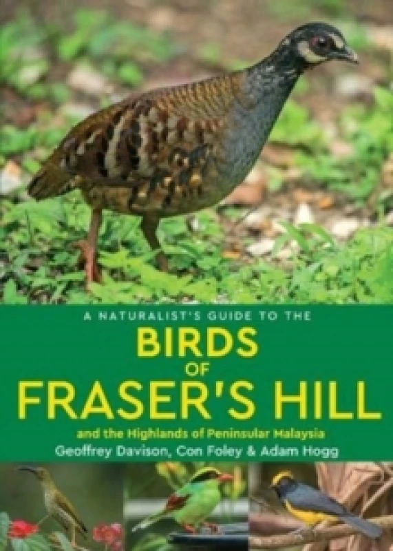 Image of A Naturalist's Guide to the Birds of Fraser's Hill & the Highlands of Peninsular Malaysia Paperback / softback