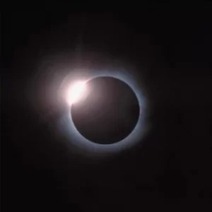 Image of Hail Bop by Django Django Vinyl Album