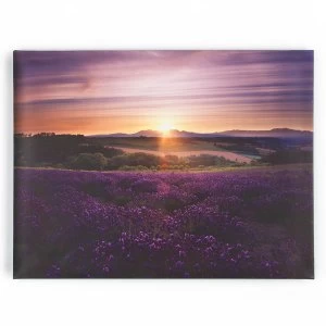 Image of Graham and Brown Lavender Sunset Wall Art