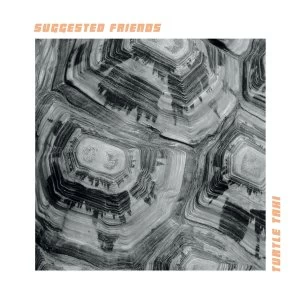 Image of Suggested Friends - Turtle Taxi Vinyl