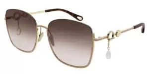 Image of Chloe Sunglasses CH0070SK Asian Fit 003