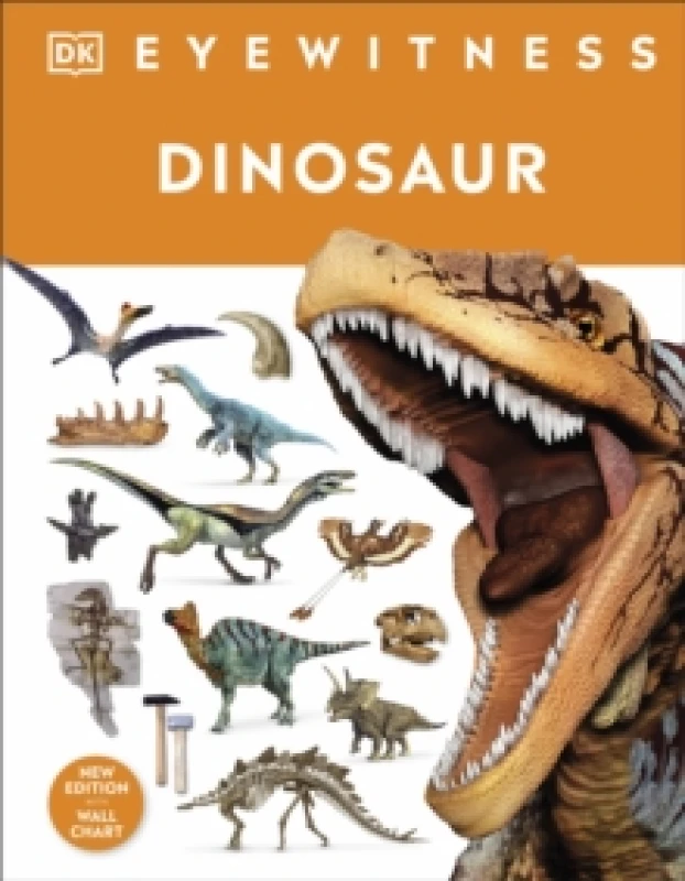 Image of DK Dinosaur Book Multi unisex