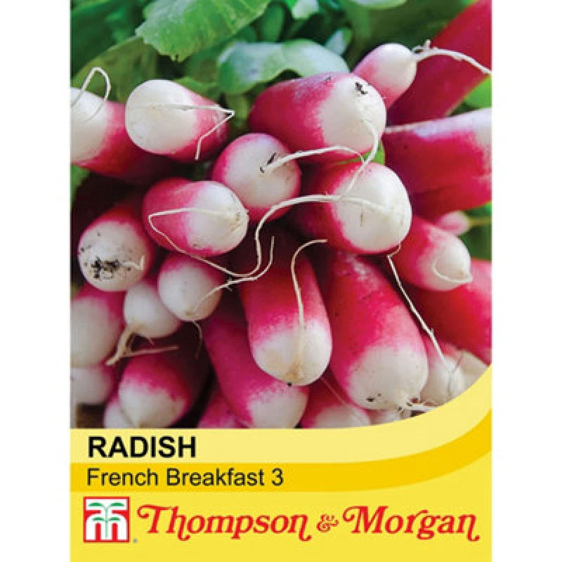 Image of Thompson & Morgan Radish French Breakfast 3 1 Seed Packet (750 Seeds)