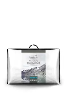 Image of 2 Pack Natural Duck Feather Firm Support Pillows