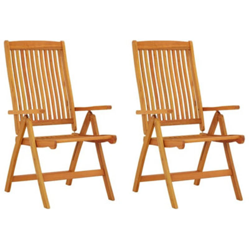 Image of vidaXL Folding Garden Chairs 2 pcs Solid Wood Eucalyptus, Brown 316069