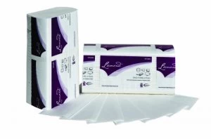 Image of 2Work M-Fold Hand Towel 2-Ply White 240x203mm (Pk 2250)