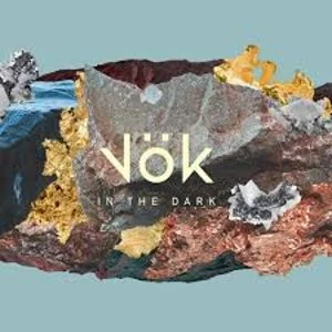 Image of Vok - In The Dark Vinyl