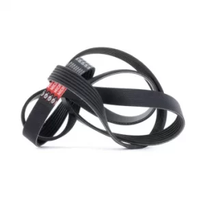 Image of GATES Poly V-Belt AUDI,VW,RENAULT 6PK1685 078903137F,11287795601,55581761 Ribbed Belt,V Ribbed Belt,Multi V Belt,Poly Belt,V-Ribbed Belts 55597382