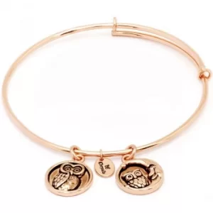 Image of Ladies Chrysalis Rose Gold Plated Happiness Serentiy Wisdom Expandable Bangle