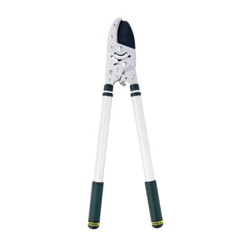 Image of Kew Gardens Telescopic Ratchet Anvil Loppers 8290KEW Length: 1030mm