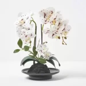 Image of Homescapes - White Orchid 36cm Phalaenopsis in Ceramic Pot - White