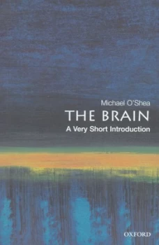 Image of The Brain by Michael Oshea Paperback