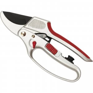 Image of Kent and Stowe Ratchet Secateurs