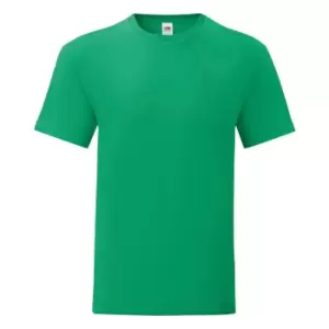 Image of Fruit Of The Loom Mens Iconic T-Shirt (S) (Kelly Green)