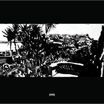 Image of Wild Books - 2 Vinyl