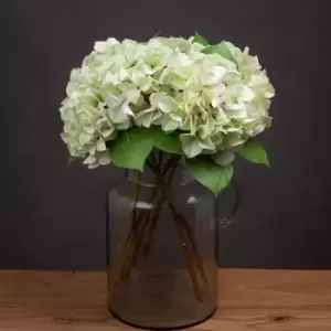 Image of Shabby Green Single Hydrangea