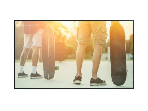 Image of NEC MultiSync P555 PG-2