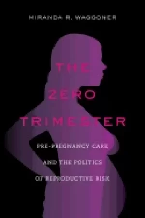 Image of zero trimester pre pregnancy care and the politics of reproductive risk