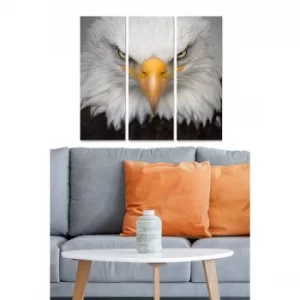 Image of MDF2045655 Multicolor Decorative MDF Painting (3 Pieces)