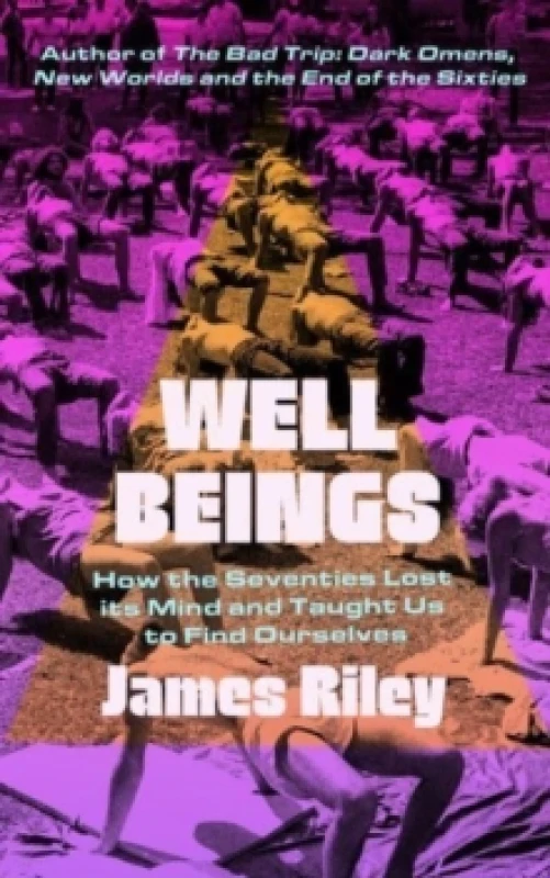 Image of Well Beings : How the Seventies Lost its Mind and Taught Us to Find Ourselves Hardback