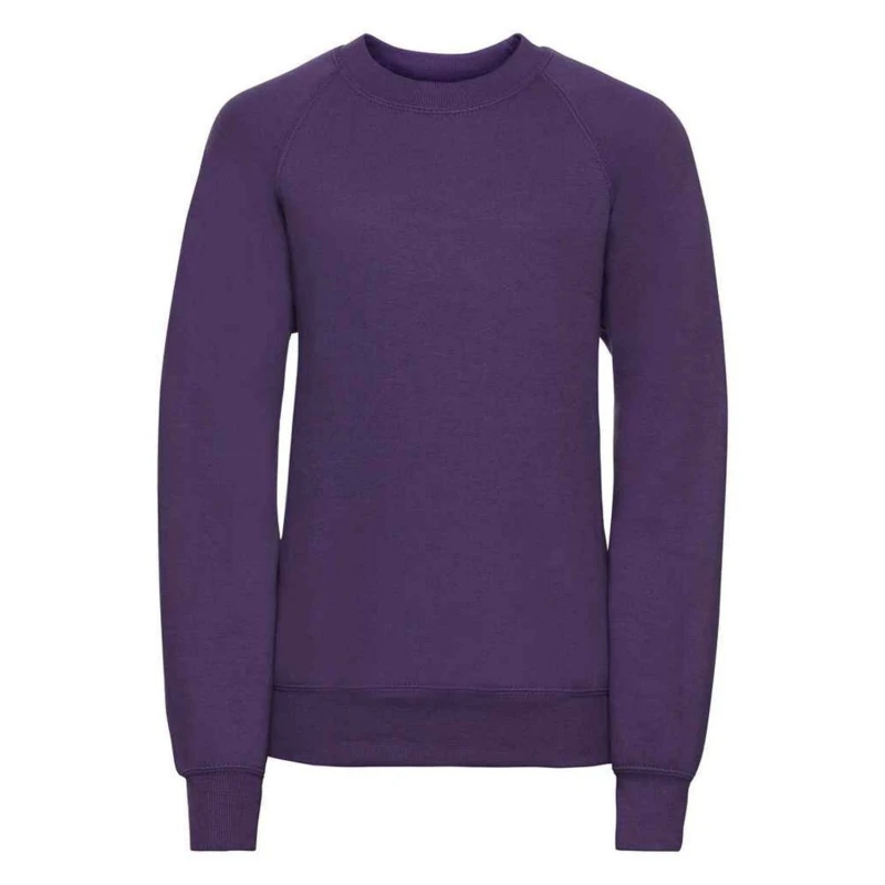 Image of Jerzees Schoolgear 762B boys's Children's sweater in Purple