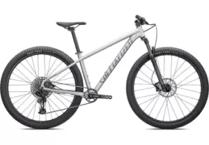 Image of 2022 Specialized Rockhopper Expert Mountain Bike in Satin Silver Dust