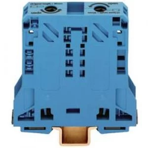 Image of Continuity 20 mm Pull spring Configuration N Blue