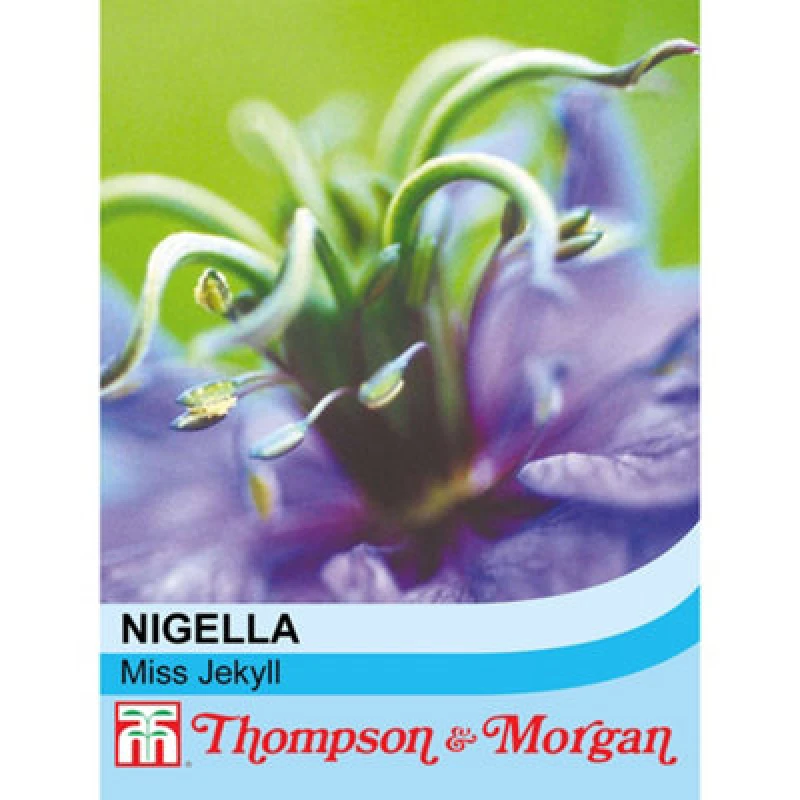 Image of Thompson & Morgan Nigella Miss Jekyll 1 Packet (685 Seeds)