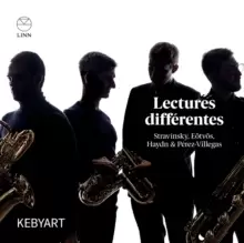 Image of Kebyart: Lectures Differentes