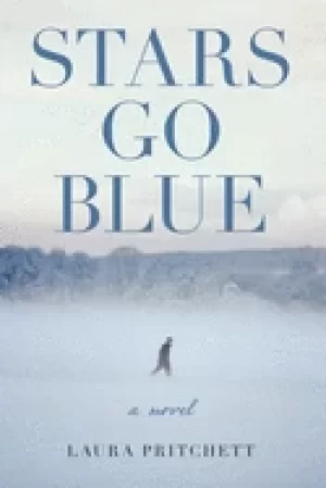 Image of stars go blue a novel