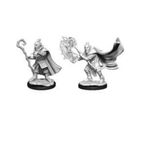 Image of Critical Role Unpainted Miniatures (W1) Hobgoblin Wizard and Druid Male