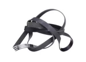 Image of RIDEX V-ribbed belt AUDI,MERCEDES-BENZ 305P0104 06E903137Q,6E903137Q,53007539 53010276,0099971892,0109976392,0109978392,0109979292,0119970692