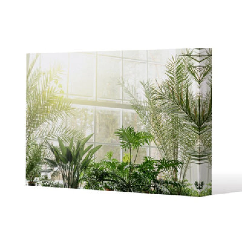 Image of Benjamin Tate Design Green Plants In Botanical Gardens Slim Style Canvas Print 50X60Cm , 15mm Slim Real Wood.