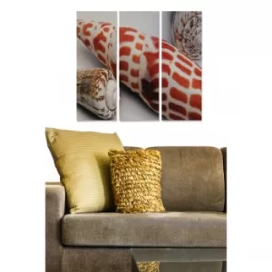 Image of MDFDSCF7978 Multicolor Decorative MDF Painting (3 Pieces)