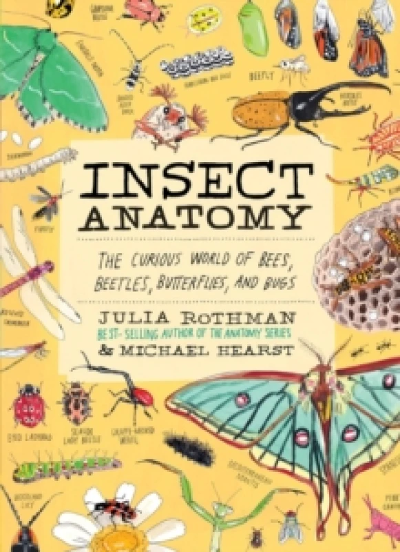 Image of Insect Anatomy : The Curious World of Bees, Beetles, Butterflies, and Bugs Paperback / softback