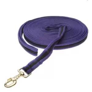 Image of Kincade Two Tone Padded Lunge Rein - Purple