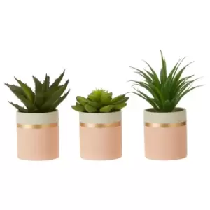 Image of Set of 3 Succulents in Pink/Gold Ceramic Pot
