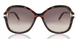 Image of Guess Sunglasses GF 0352 52F
